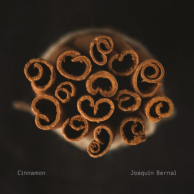 Cover of Cinnamon