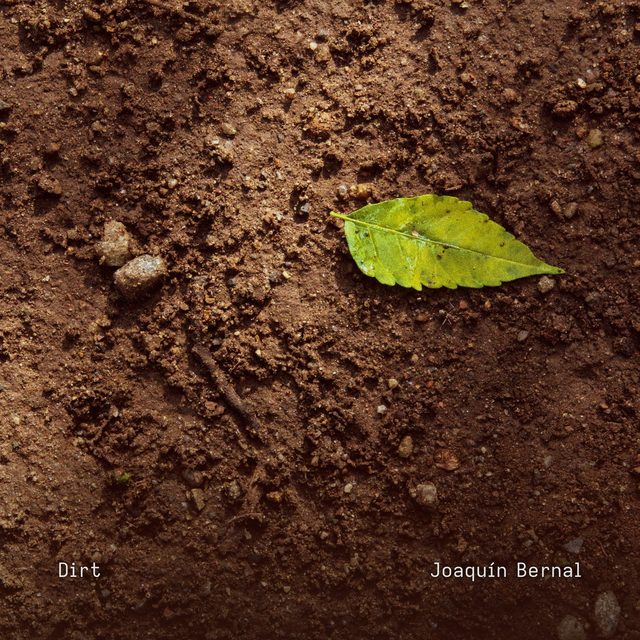 Cover of Dirt