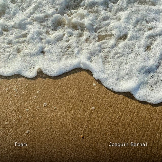 Cover of Foam