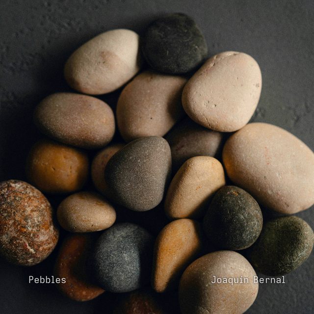 Cover of Pebbles