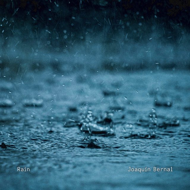 Cover of Rain